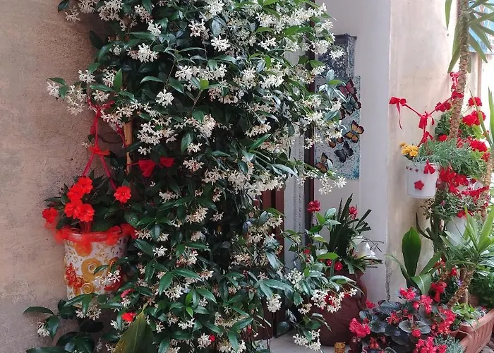 Rosa Dei Venti לבנטו